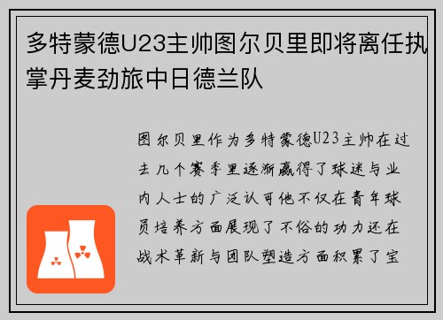 多特蒙德U23主帅图尔贝里即将离任执掌丹麦劲旅中日德兰队