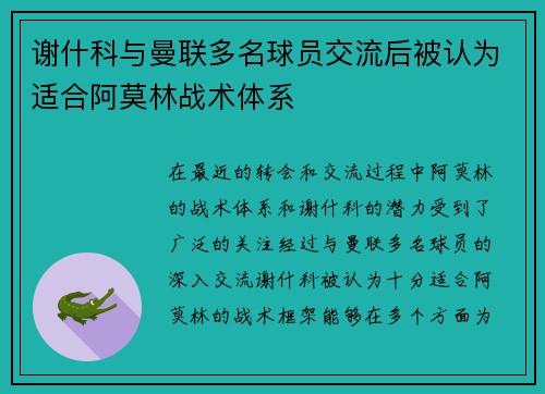 谢什科与曼联多名球员交流后被认为适合阿莫林战术体系